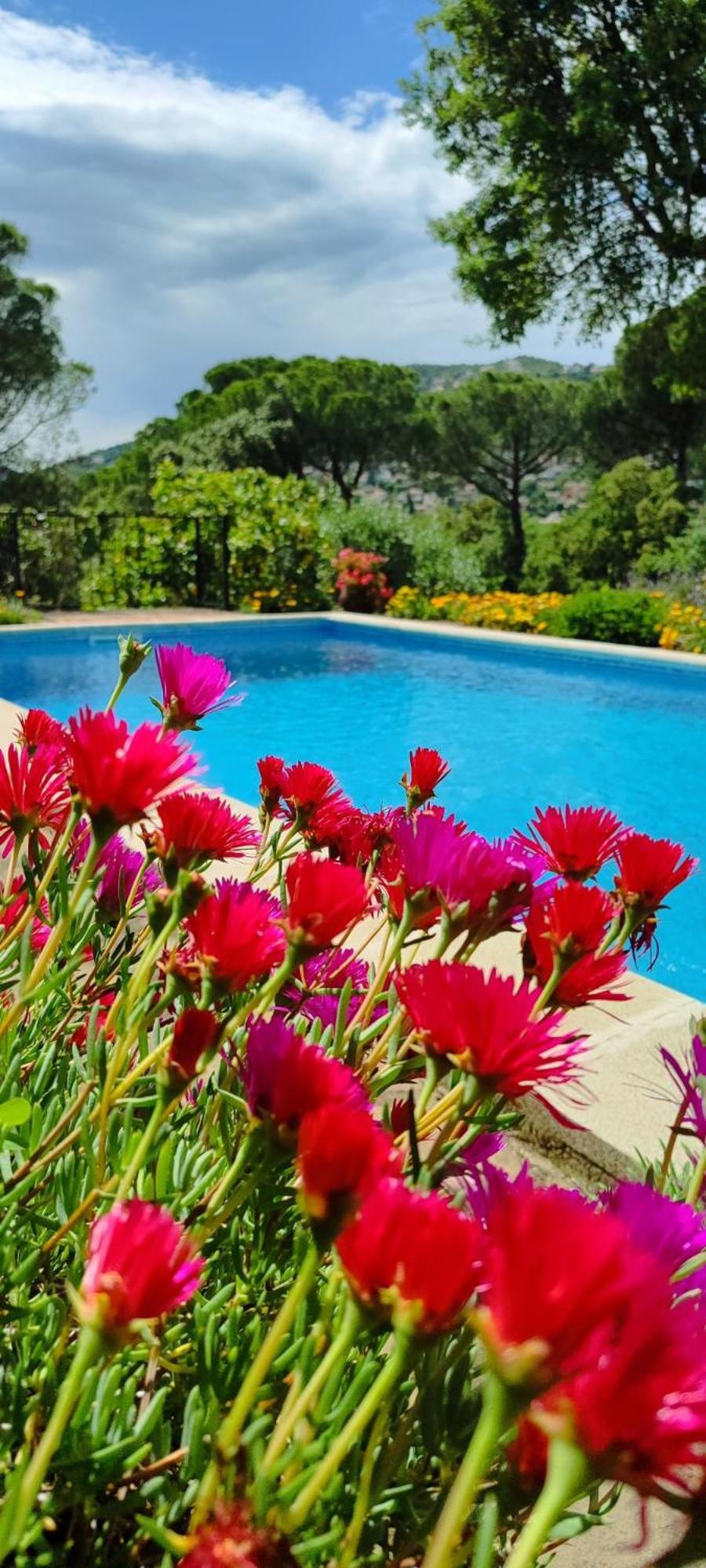 Villa Boheme Costa Brava Calonge  Exterior photo