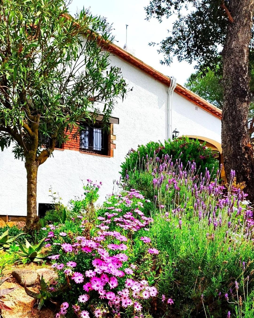 Villa Boheme Costa Brava Calonge  Exterior photo
